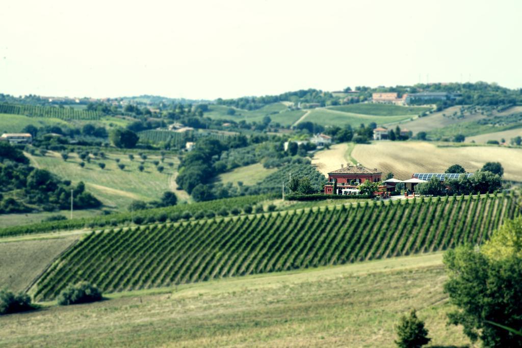 Villa Tenuta Santini à Coriano Extérieur photo